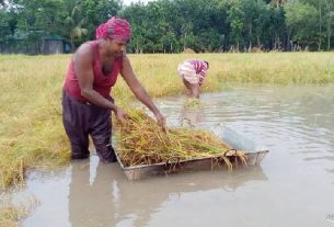 অনলাইন ছবি